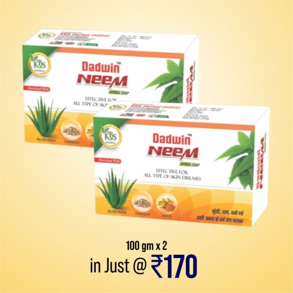 Dadwin neem soap