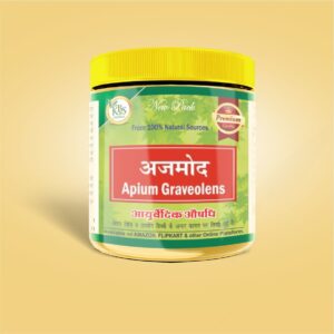 Ajmod Powder  100gm